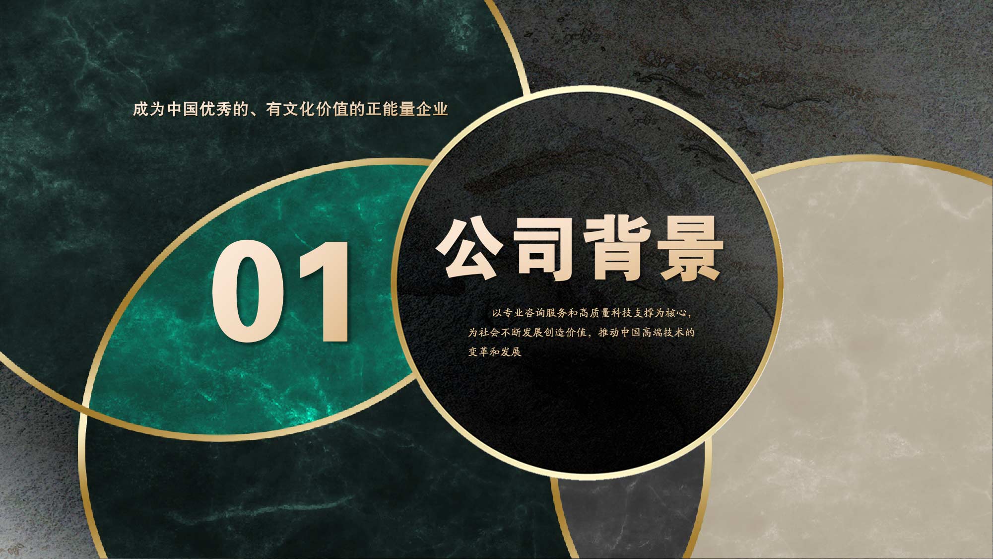 成为中国优秀的、有文化价值的正能量企业。公司以专业咨询服务和高质量科技支撑为核心，为社会不断发展创造价值、推动中国高端技术的变革和发展。